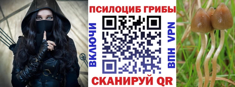 Купить закладки  Шатура  Псилоцибиновые грибы прущие грибы 