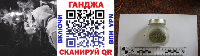 Купить где Шатура Каннабис индика